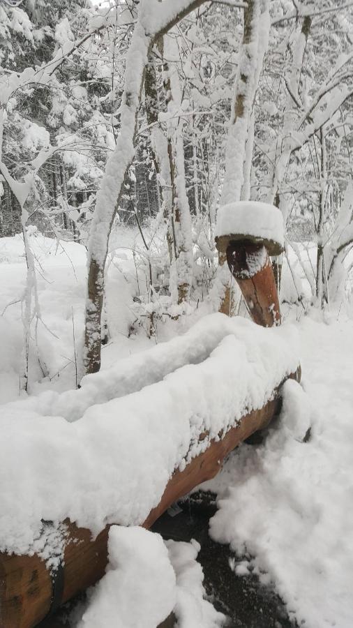 Salbertrand Il Larice 아파트 외부 사진